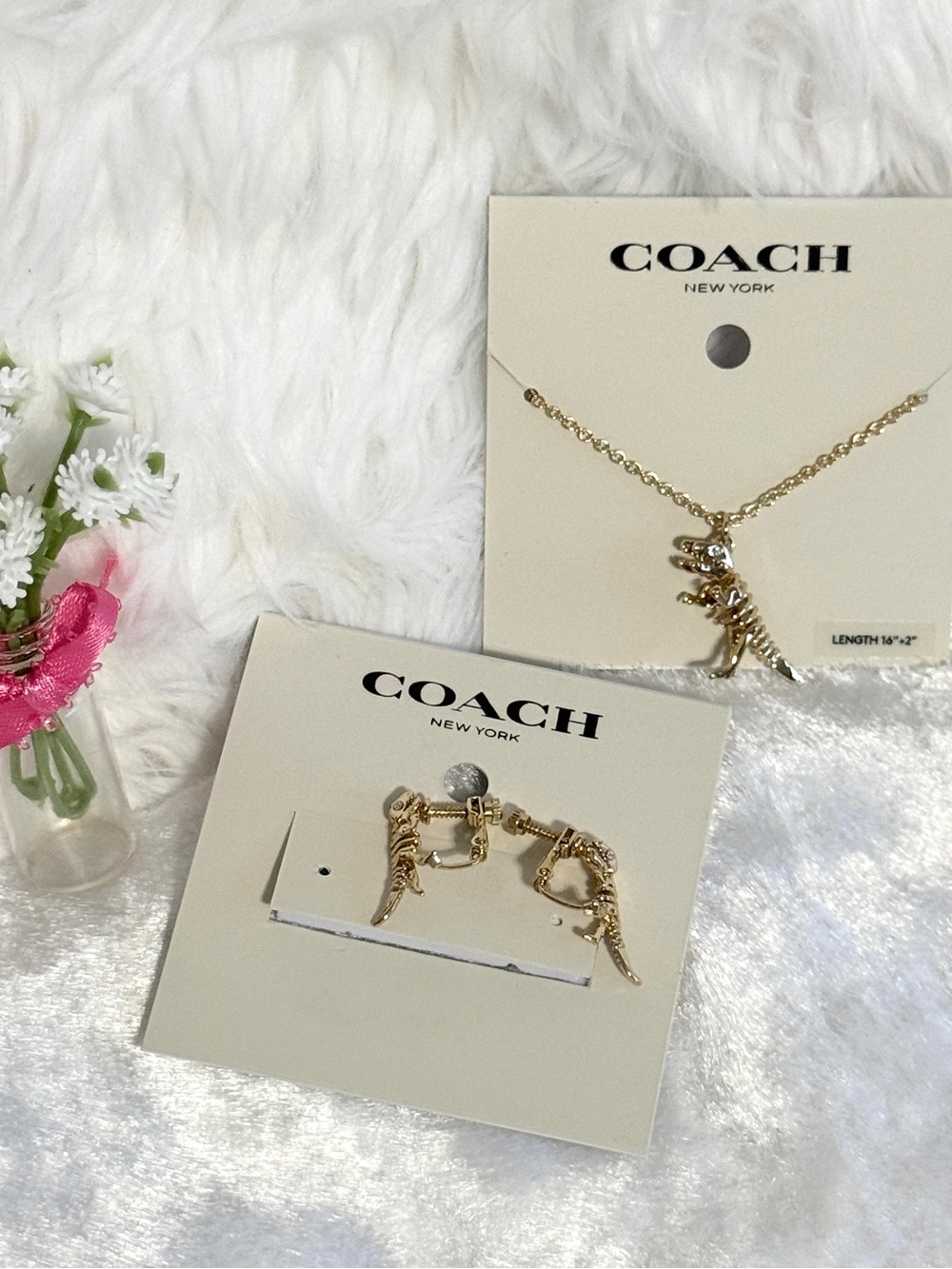 Coach Skeletal Rexy Pendant
Necklace and Earring Set